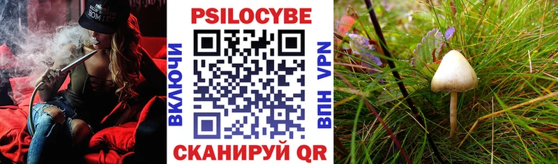 Галлюциногенные грибы ЛСД Любань